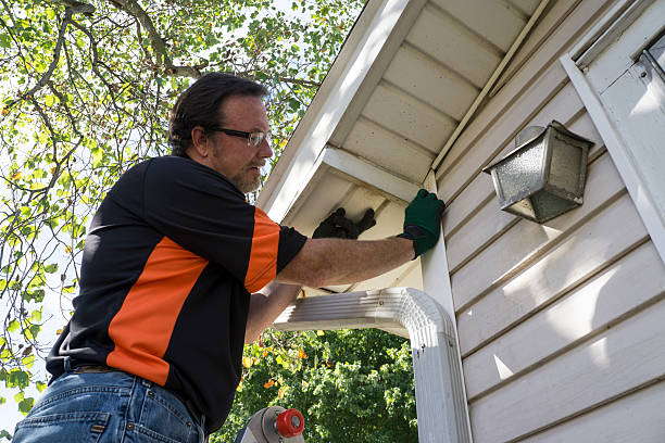 Shed Removal in Crystal Falls, MI